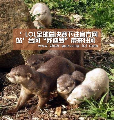 ‘ LOL全球总决赛下注官方网站’台风“苏迪罗”带来狂风暴雨 水漫福建东侨警务部门(图3) LOL全球总决赛下注官方网站