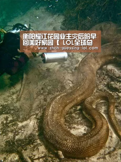 衡阳耀江花园业主灾后盼早回美好家园【 LOL全球总决赛下注官方网站】(图3) 英雄联盟竞猜大厅