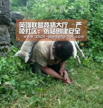 英雄联盟竞猜大厅 -严陵社区:张贴创建安全社区宣传海报(图2) 英雄联盟竞猜大厅